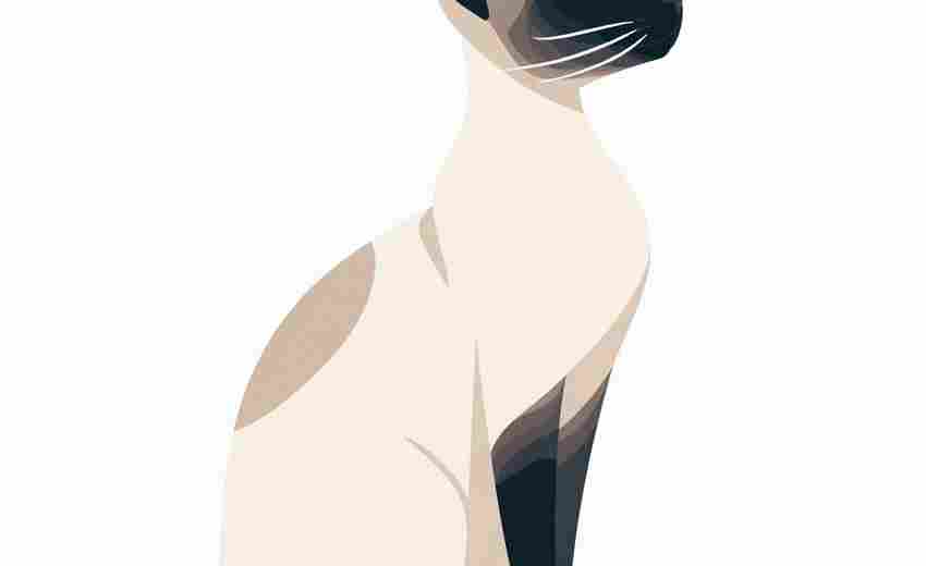 在瀘州，常見的非法SEO優(yōu)化手段有哪些？