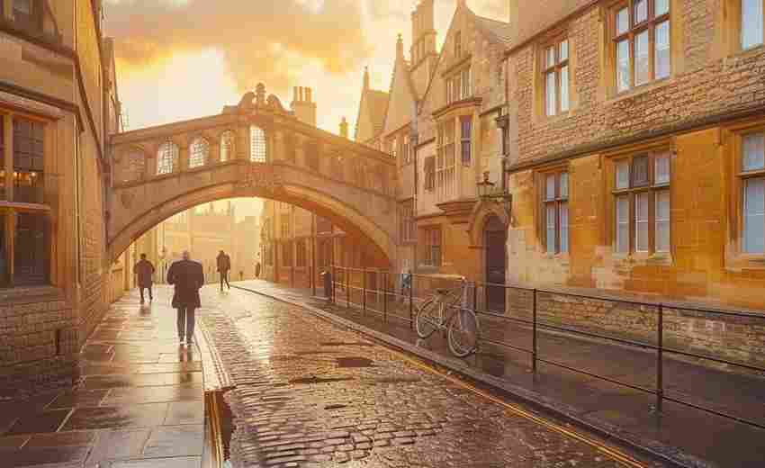 灞橋區(qū)SEO優(yōu)化成功案例有哪些？