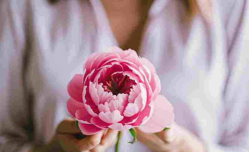 攀枝花云無限SEO服務(wù)有什么特色？