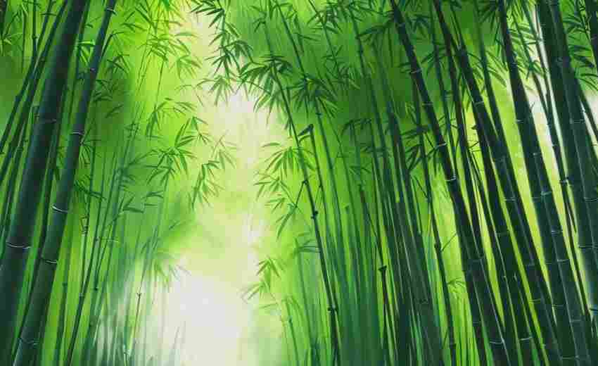 萬柏林區(qū)SEO優(yōu)化價格是多少？