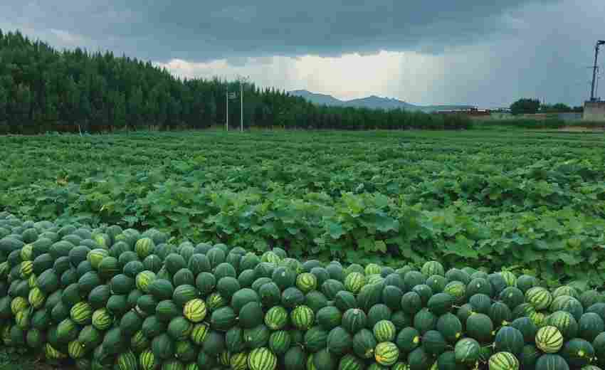 在富平縣，如何通過高質(zhì)量外鏈建設(shè)提升網(wǎng)站排名？