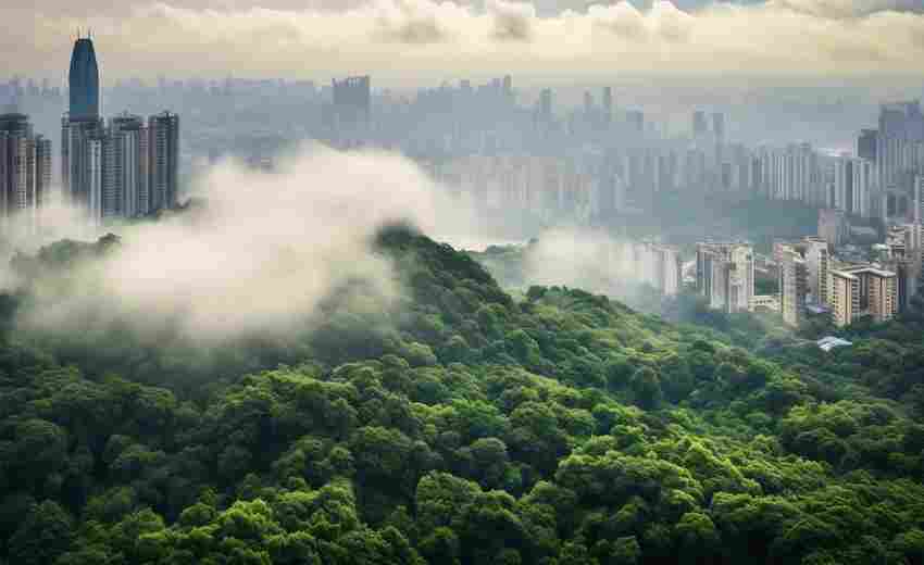 巴南區(qū)有哪些值得推薦的SEO優(yōu)化公司？