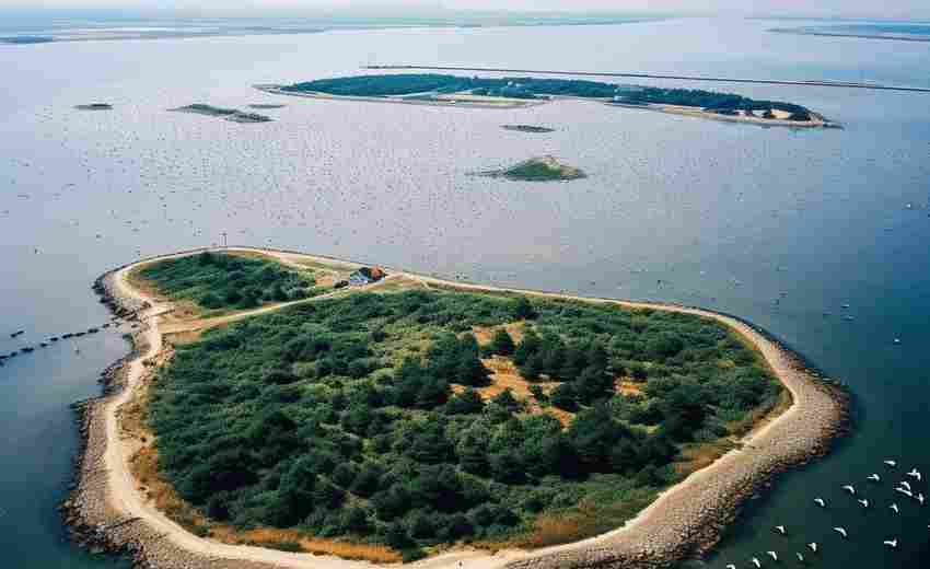 常州有哪些SEO優(yōu)化公司在專業(yè)能力和市場(chǎng)定位上具有優(yōu)勢(shì)？