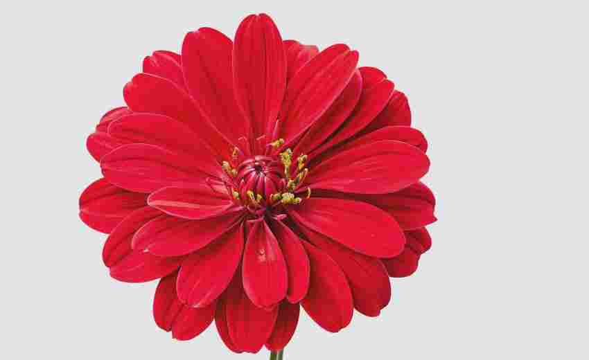 濰坊關(guān)鍵詞SEO優(yōu)化價(jià)格