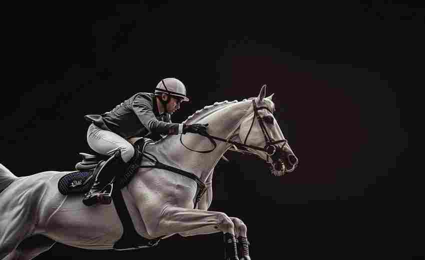 駐馬店SEO高級定制服務(wù)的報價是多少？