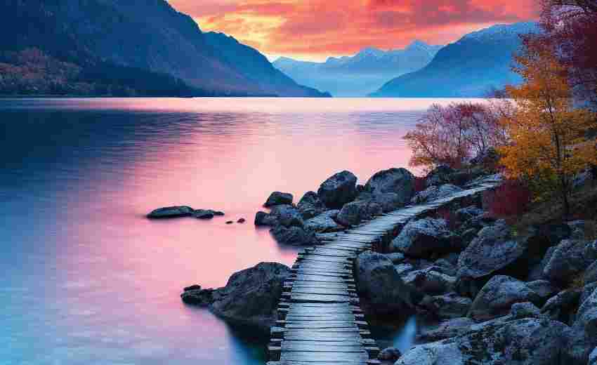 如何利用數(shù)據(jù)分析來優(yōu)化德州平臺的SEO效果？