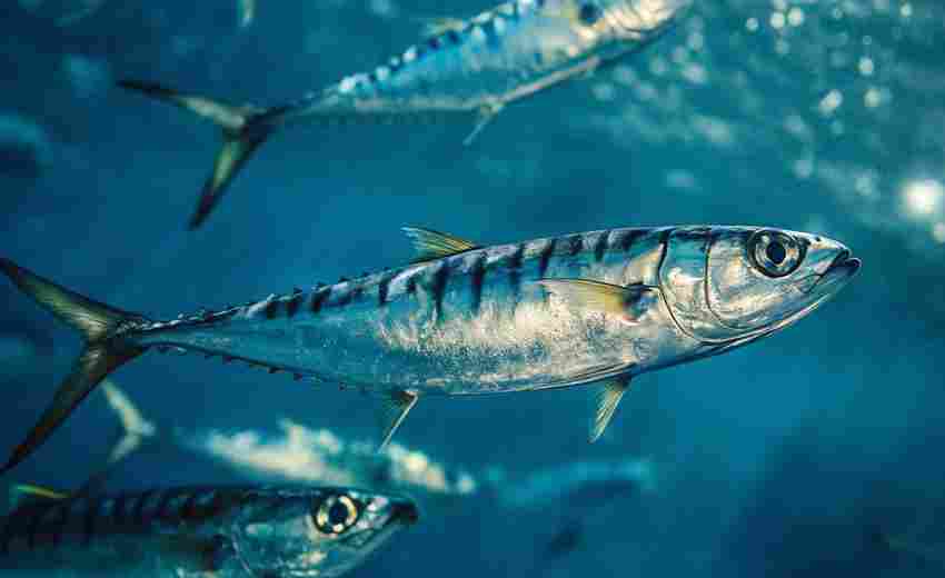 洪湖地區(qū)的SEO現(xiàn)狀如何？