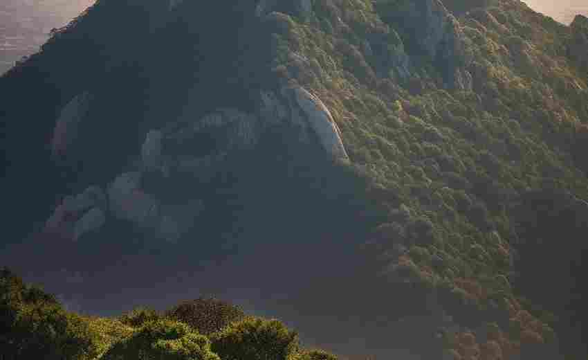 唐山有哪些提供SEO培訓與教育的機構(gòu)？