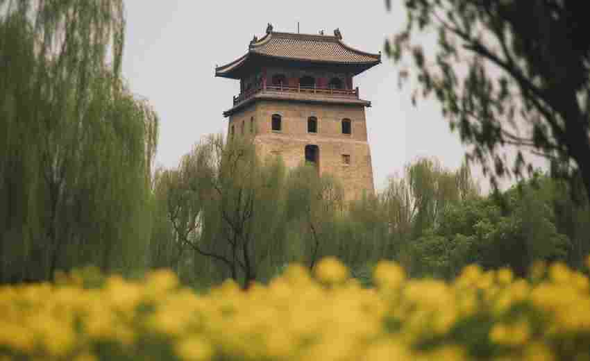 富平地區(qū)有哪些成功的SEO案例？