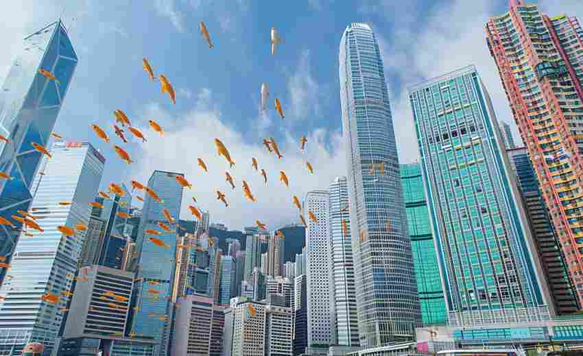 黃埔區(qū)SEO成功案例有哪些？