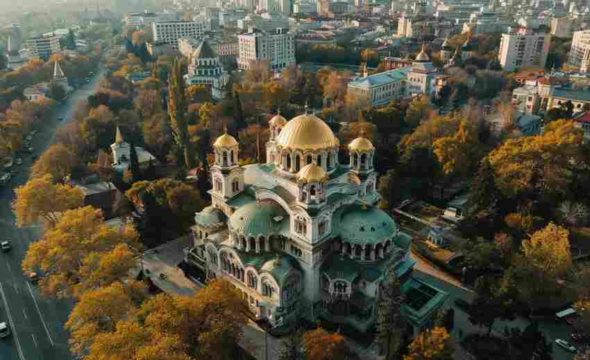 哈爾濱有哪些SEO優(yōu)化公司的特色與優(yōu)勢？