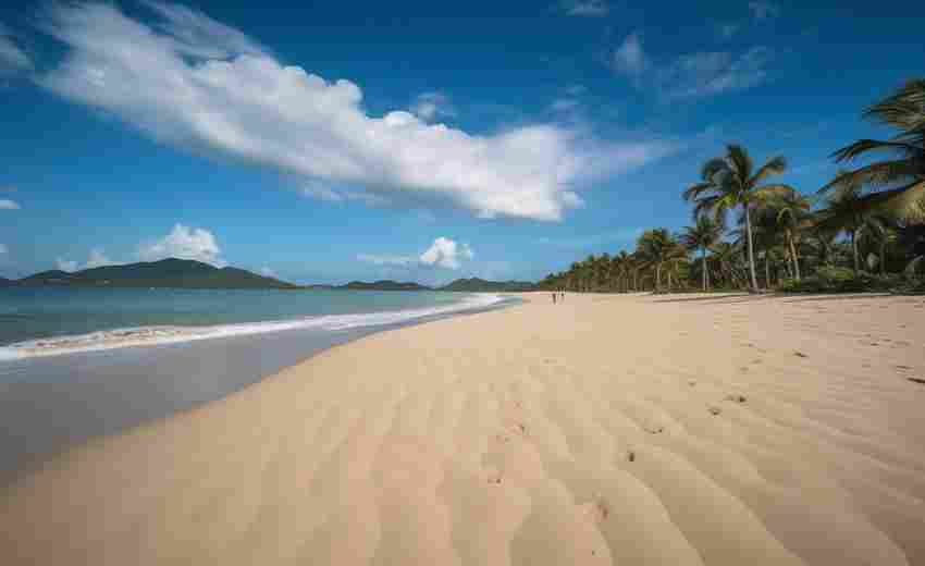 海南有哪些熱門的SEO優(yōu)化工具？