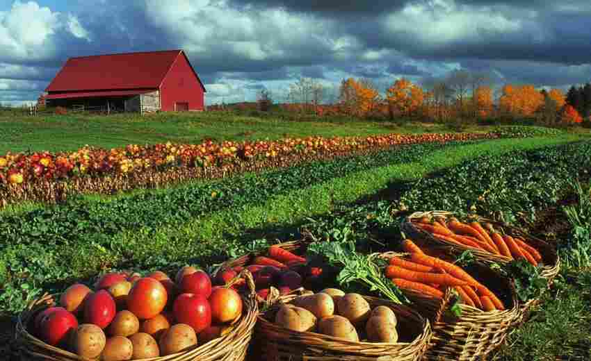 舟山農(nóng)產(chǎn)品網(wǎng)站如何通過(guò)會(huì)員體系增強(qiáng)用戶(hù)粘性