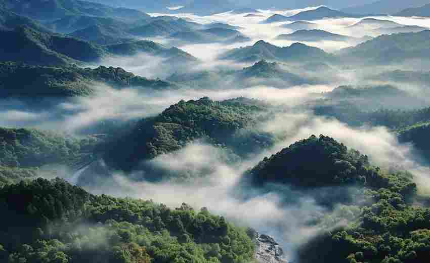 綏芬河市有哪些通過(guò)SEO實(shí)現(xiàn)業(yè)績(jī)?cè)鲩L(zhǎng)的案例？