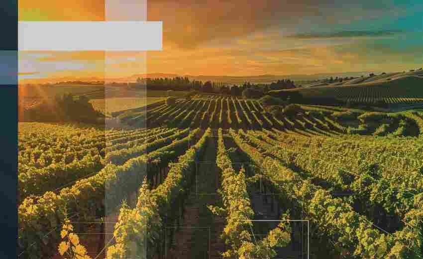 酒泉SEO優(yōu)化的基礎(chǔ)知識是什么？