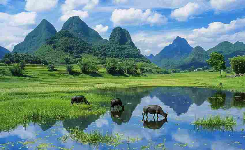 如何利用網(wǎng)站多媒體技術(shù)呈現(xiàn)云南自然景觀的震撼效果