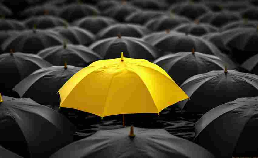 SEO站群的風(fēng)險(xiǎn)防范措施