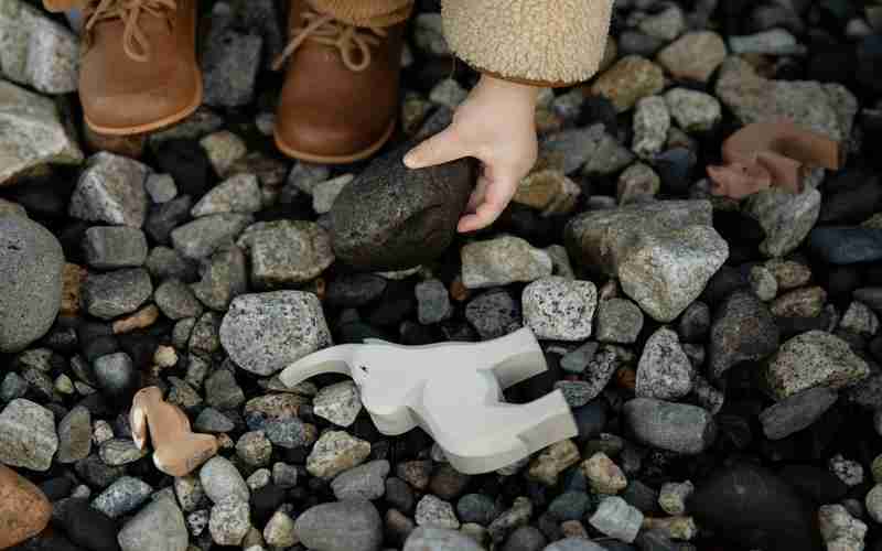 WordPress怎么使用兩個(gè)主題-wordpress 免費(fèi)主題