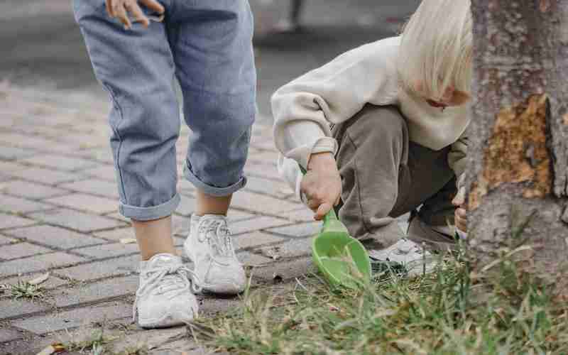 Discuz論壇 服務(wù)器配置服務(wù)器主機配置
