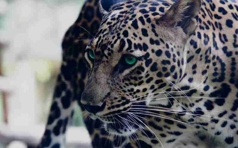 下載網(wǎng)站模板排序錯亂;表格房號錯亂怎么排序