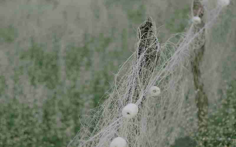 化妝品網(wǎng)站模板源碼關(guān)于化妝品的網(wǎng)頁設(shè)計(jì)