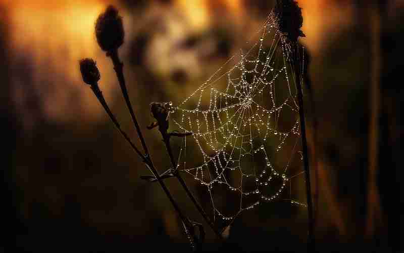 寶塔面板防火墻怎么設(shè)置_如何關(guān)閉寶塔網(wǎng)站防火墻