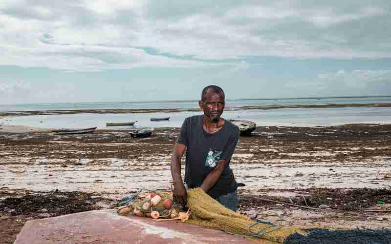 簡歷怎么寫mysql、mysql的軟件叫什么