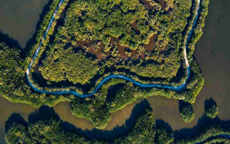 wordpress搬家阿里云服務(wù)器_Wordpress下載