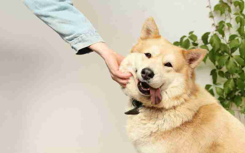 WordPress配置阿里oss優(yōu)化(阿里店鋪每天需要怎么優(yōu)化)