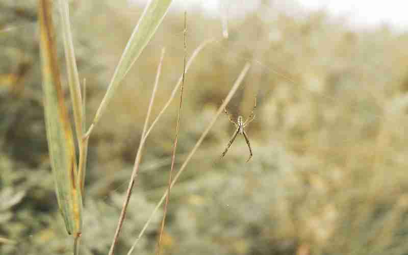 wordpress批量注冊提問軟件(wordpress手機模板)