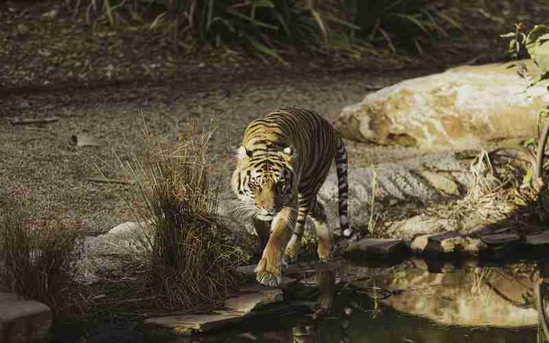 mysql數(shù)據(jù)庫怎么關(guān)閉mysql數(shù)據(jù)庫使用