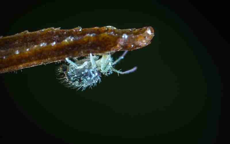 php怎么判斷符串是回文_php字符串連接符用什么符號