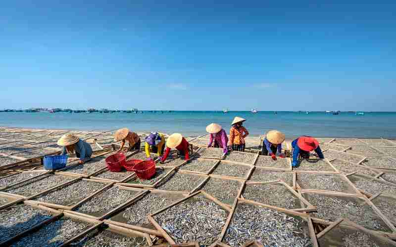 國(guó)內(nèi)哪個(gè)防火墻最好用(十大國(guó)內(nèi)防火墻軟件排名)