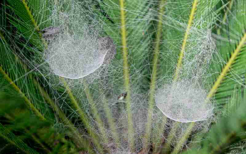 白嫖騰訊云主機(jī)是什么東西,什么是云主機(jī)