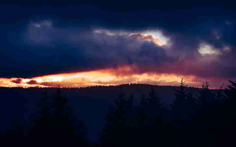 求助登入面板無法進入—授權(quán)失敗請重新登錄怎么辦