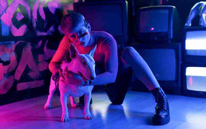 wordpress 安裝的時候是英文—WordPress模板