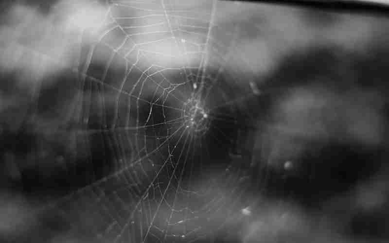 帝國cms怎么導(dǎo)入系統(tǒng)模型 帝國cms導(dǎo)入模板卻沒有欄目